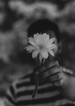 Artistic black and white photo of hands holding flower petals.