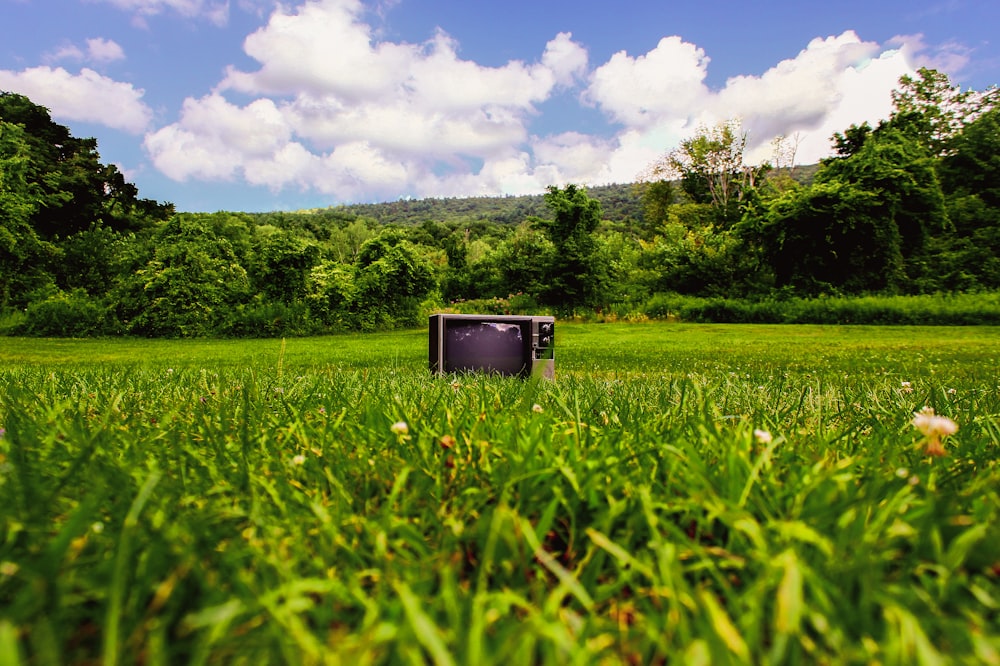 Televisore a tubo catodico su un campo in erba