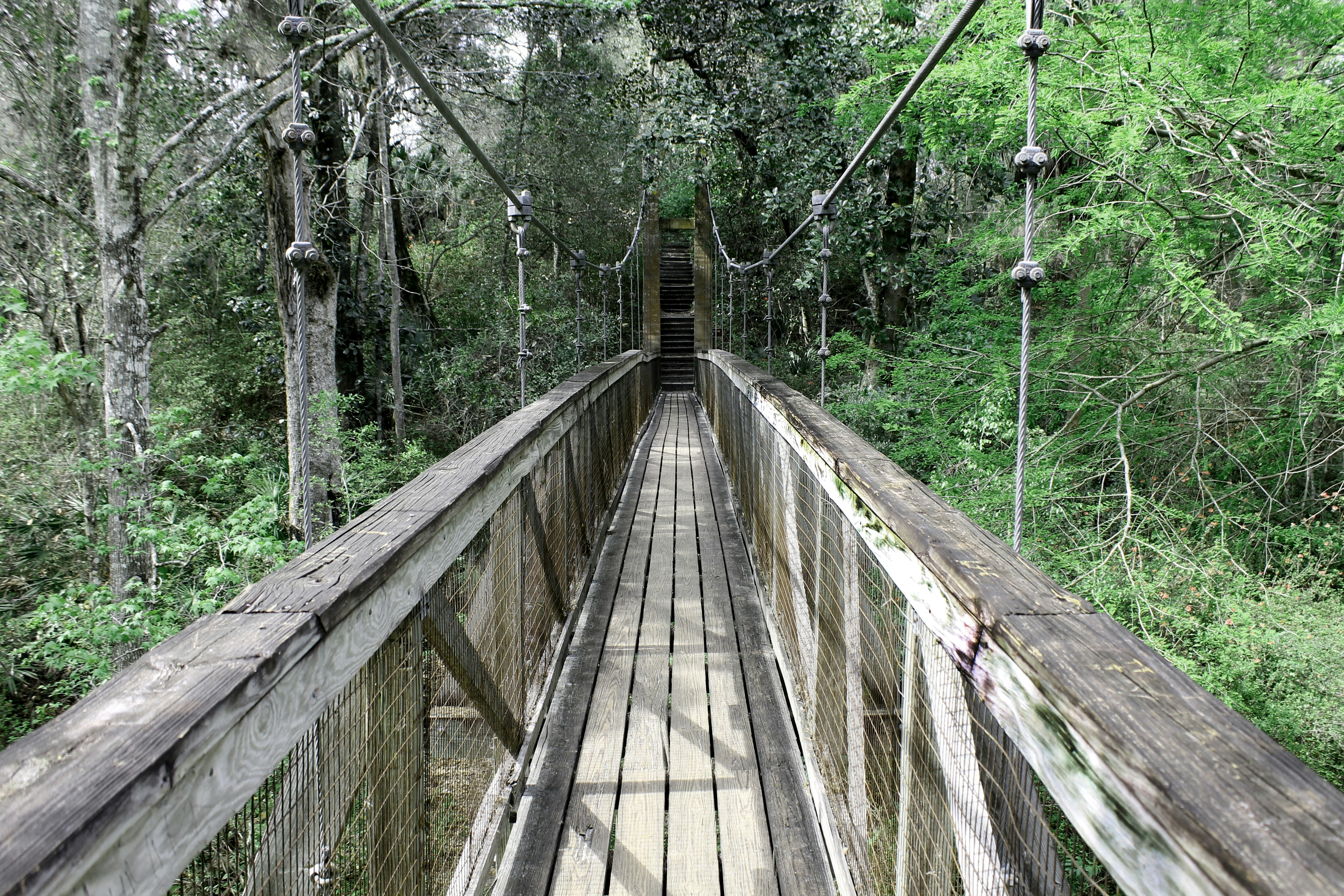 brown wooden bridge near trees at daytime