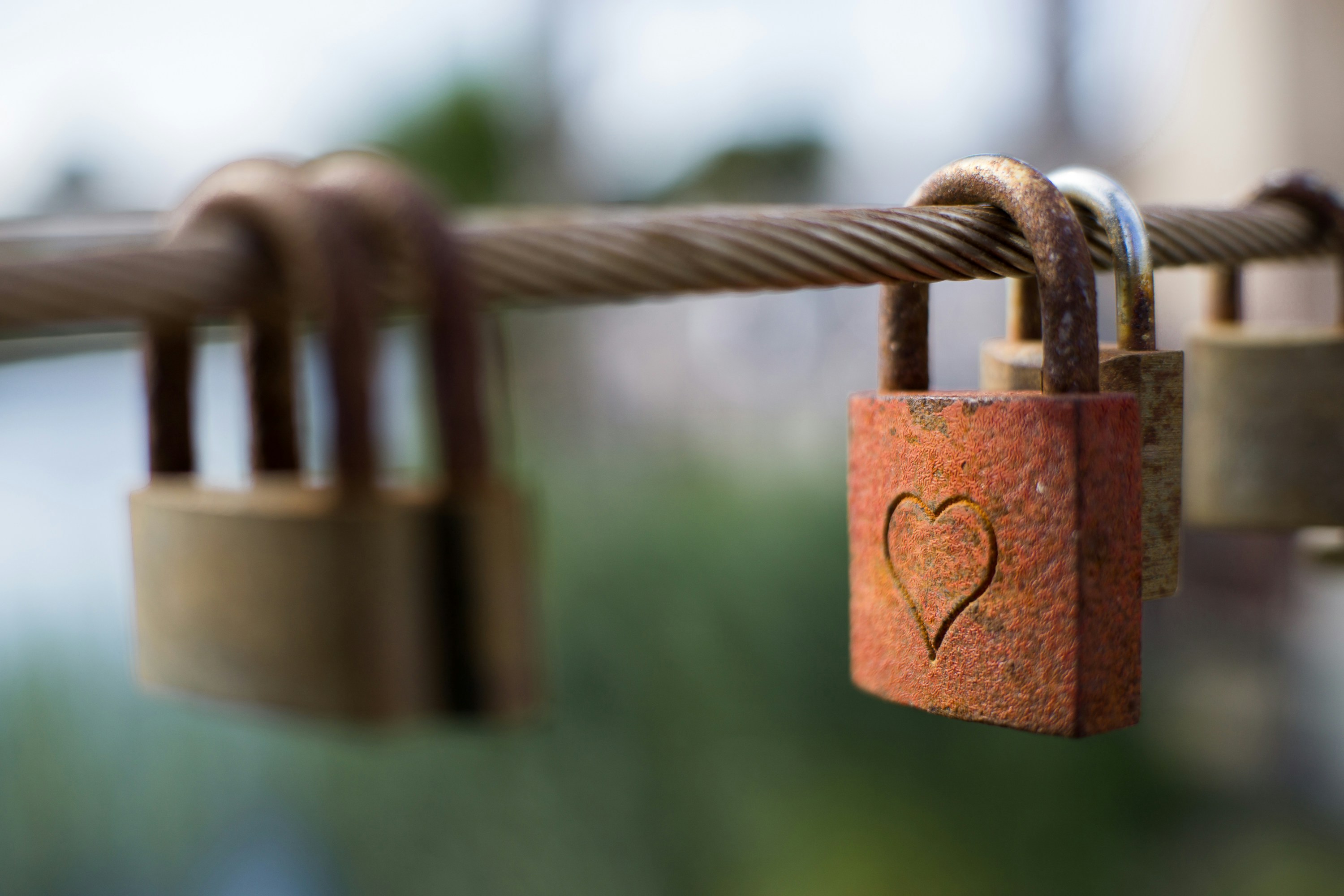 Unlocking the Secrets of Attraction: Building a Strong Connection