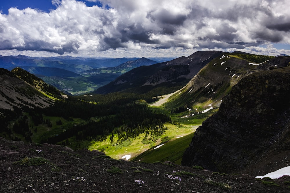 montanhas e árvores