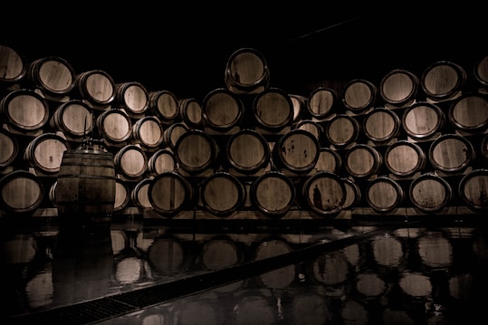 A dimly lit storage room filled with numerous wooden barrels stacked in a neat, organized manner. The barrels have a rustic appearance and cast subtle reflections on a glossy floor, adding depth to the scene. The atmosphere conveys a sense of tradition and craftsmanship, likely relating to winemaking or whiskey aging.