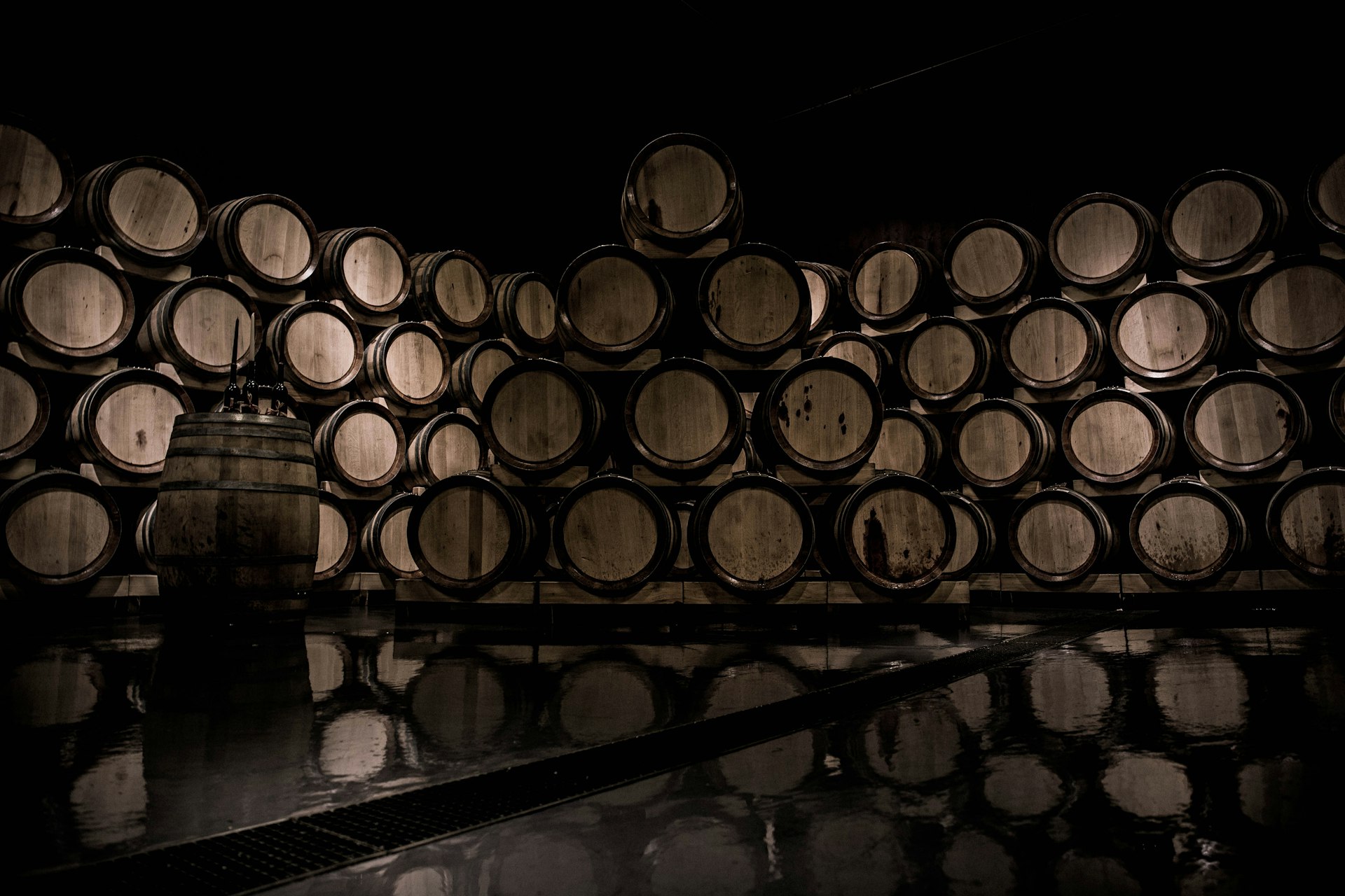 Wine Barrel Cellar 2