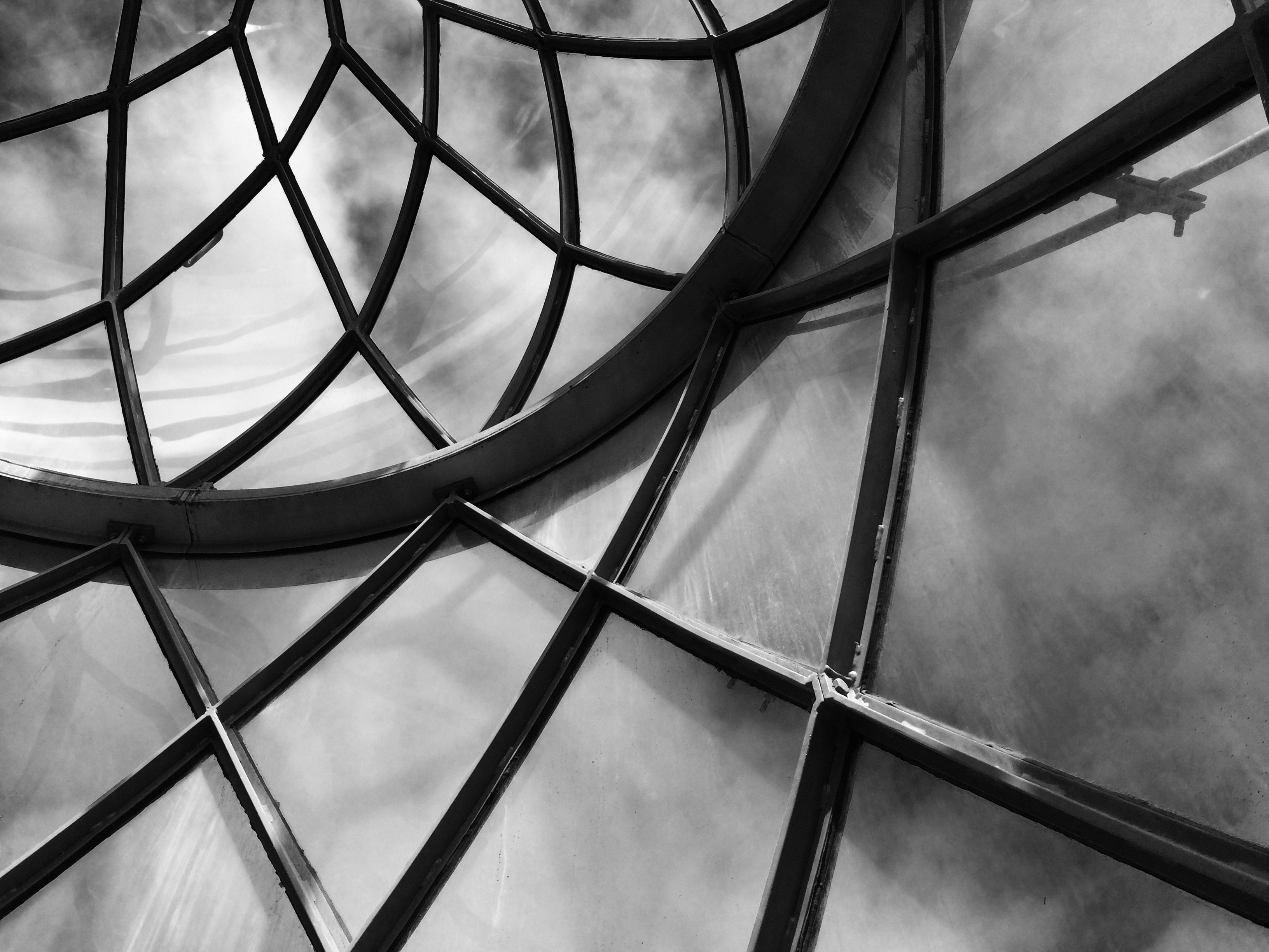 Steel French Windows and Doors