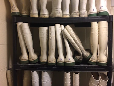 Multi-tiered shoe rack in a dorm room, holding sneakers and boots neatly.
