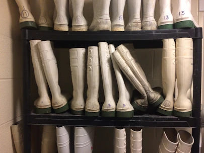 Close-up of sturdy safety boots arranged neatly on a wooden shelf in a workshop.