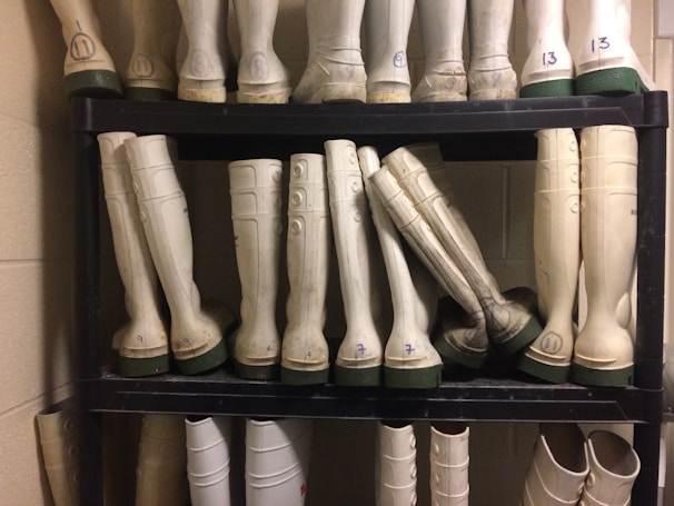 Display of various protective gloves and boots neatly arranged on shelves