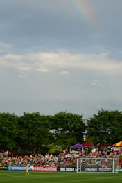 A soccer match is taking place with spectators sitting on a grassy hill behind a goalpost. A player in yellow is visible on the field. Various advertisements, including 'Nike Soccer', are displayed along the sidelines. Trees border the background, and a faint rainbow is visible in the cloudy sky.