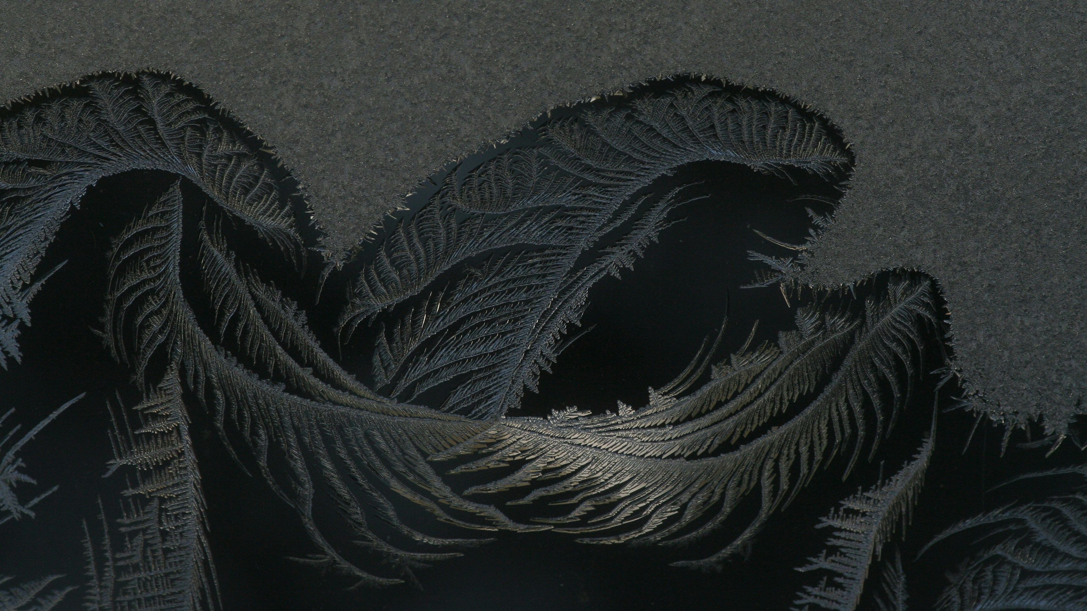 jack frost teams background