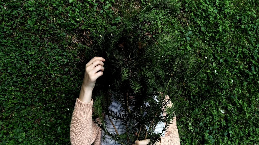 personne se cachant derrière une plante à feuilles vertes