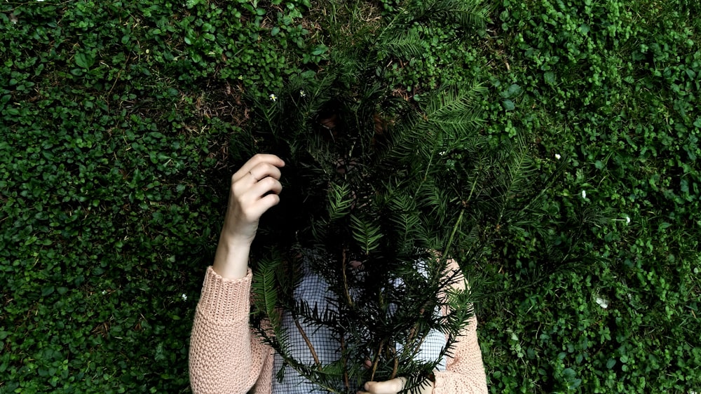person hiding behind green leafed plant