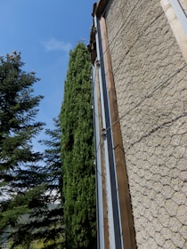 A section of a textured concrete wall reinforced with metal wiring is adjacent to tall green trees under a clear blue sky.