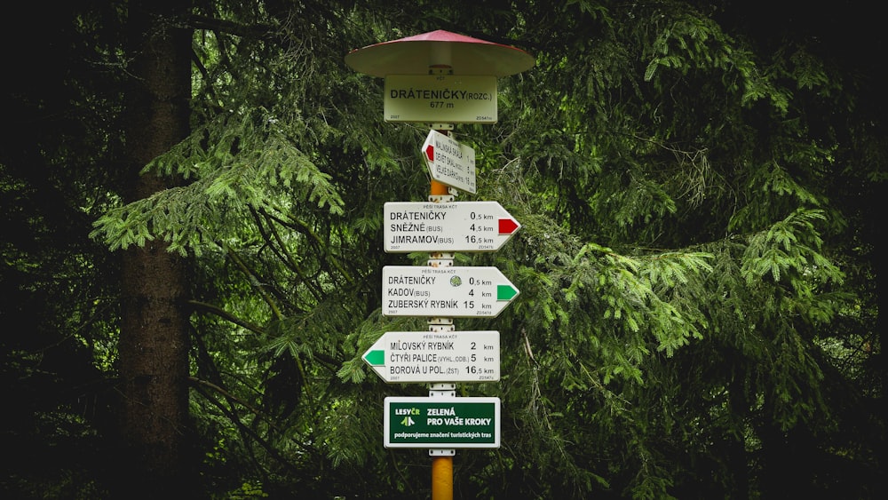 street signs near green tree