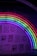 A wall covered in various affirming phrases related to love, featuring a prominent neon rainbow lighting installation. The words are bold and include messages such as 'love wins' and 'support love' in different typographies.