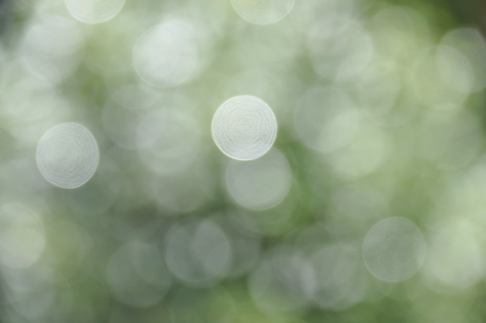 Ein verschwommenes Foto eines Baumes mit vielen Blättern