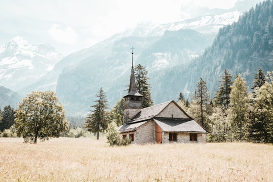 gray house surrounded by trees in Kandersteg Switzerland