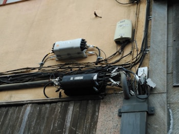 A wall with electrical and telecommunications equipment, including several distribution boxes and a network of intricately arranged cables. A small bird is perched near the top section of the wires.