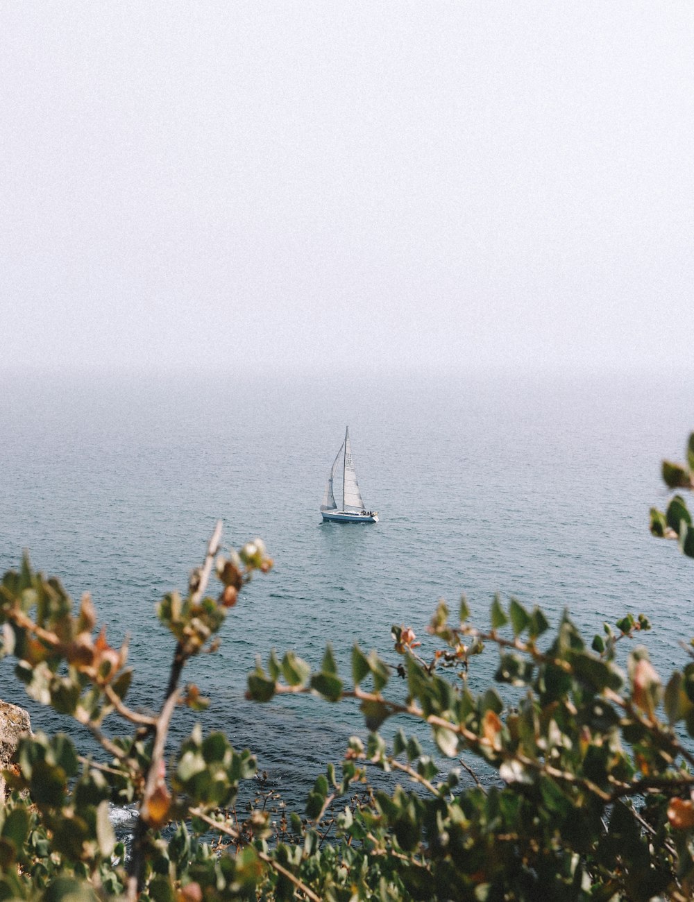 white sailing boat