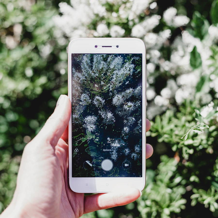 Taking a photo of a plant with a phone