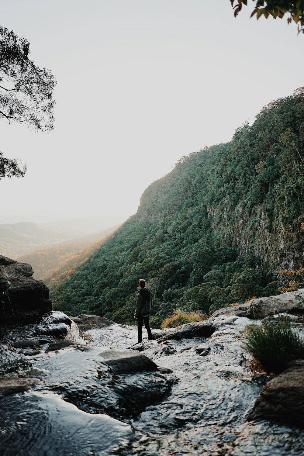uomo in piedi sulla scogliera della cascata che domina il lato della montagna con alberi verdi durante il giorno