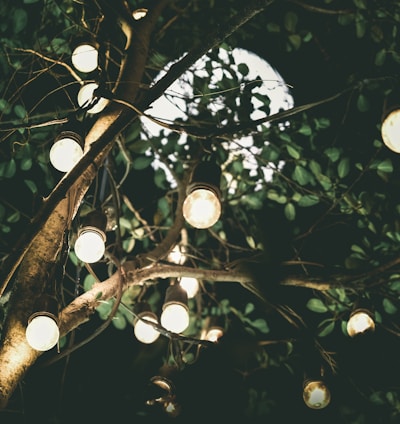 low-angle photo of white string lights