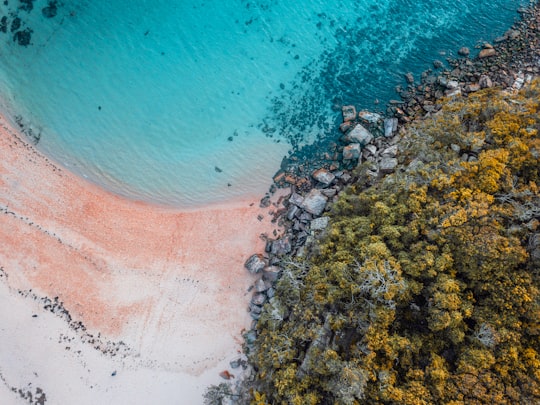 photo of Sydney Coast near Hornby Lighthouse