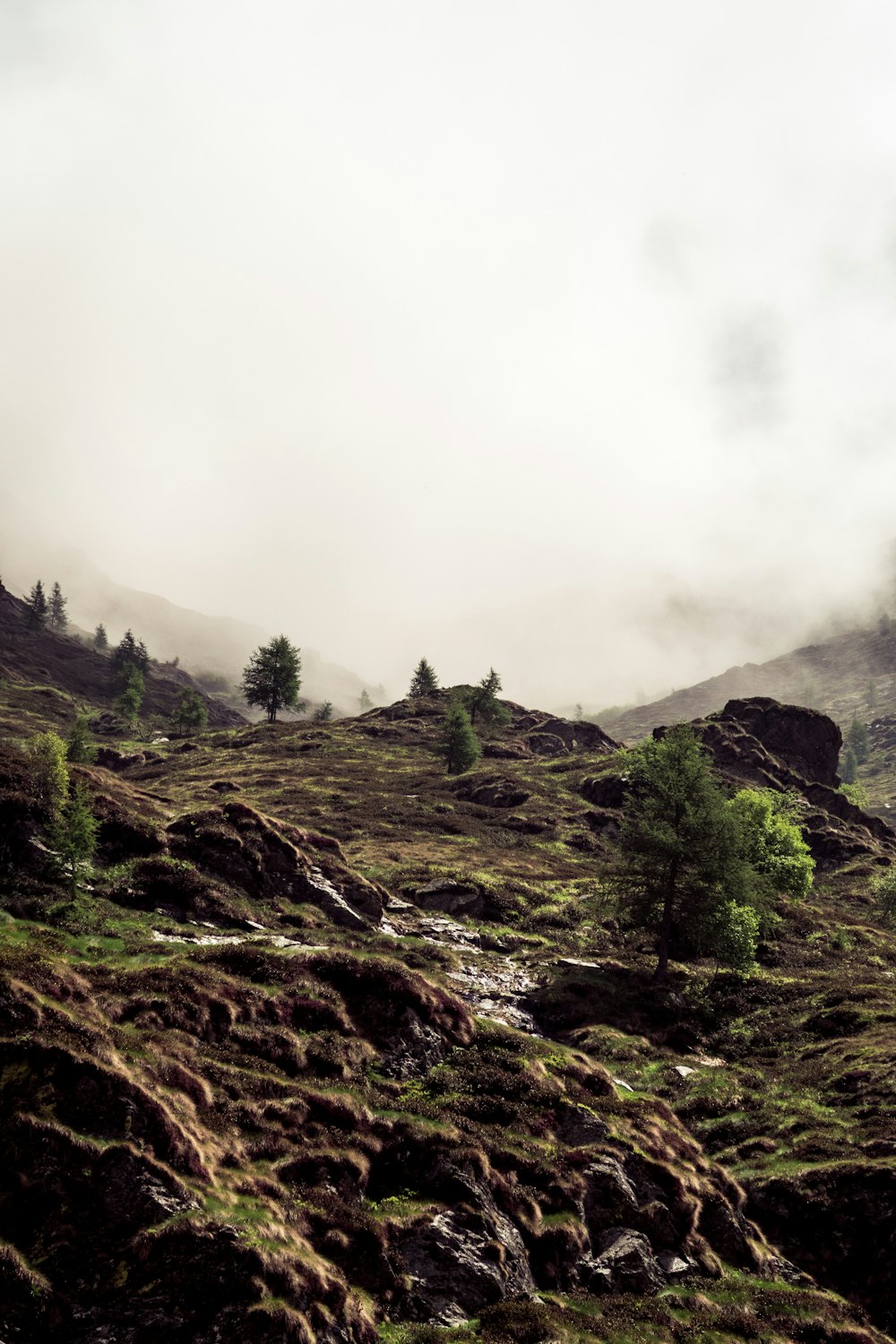 mountain under white sky