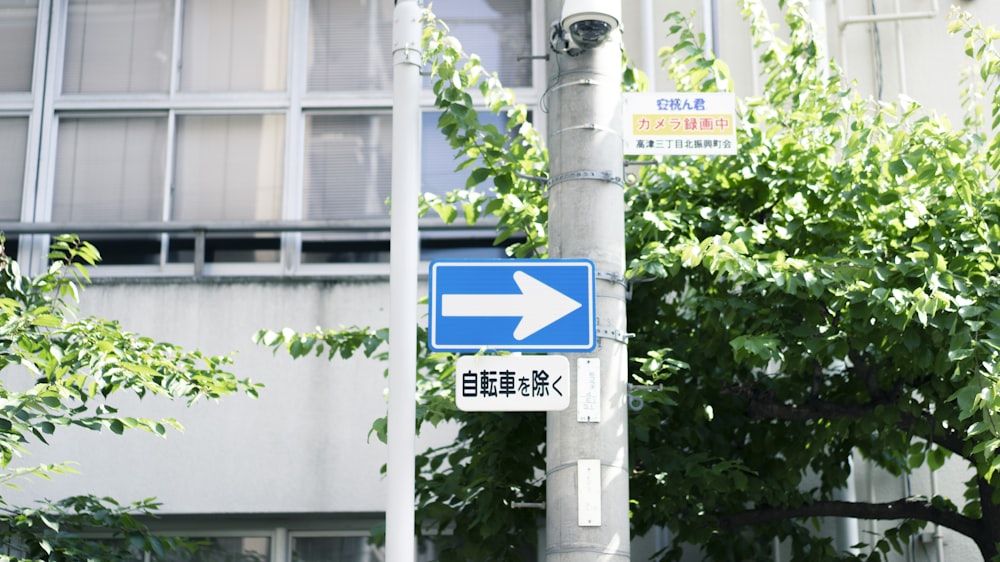 blue and white street signage