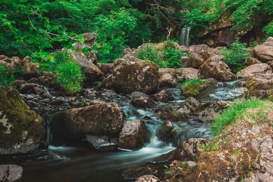 river flows between forest in Campsie Fells United Kingdom