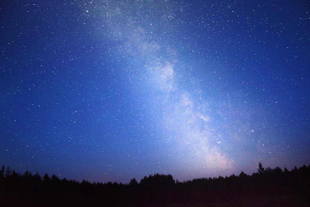 Galassia della Via Lattea sopra la fotografia degli alberi