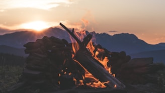 burning wood during daytime