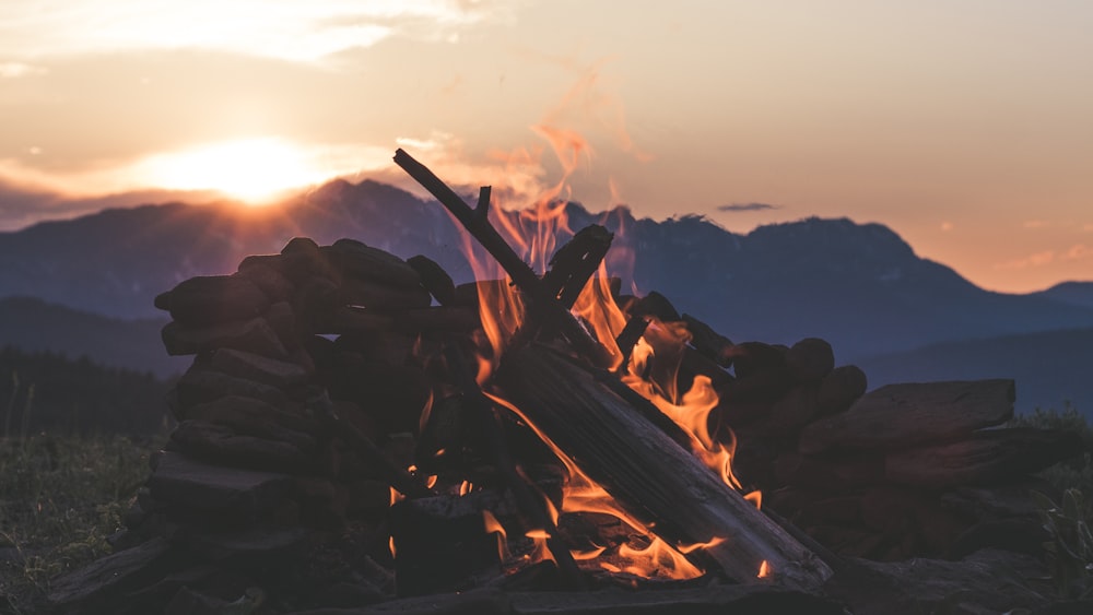 burning wood during daytime