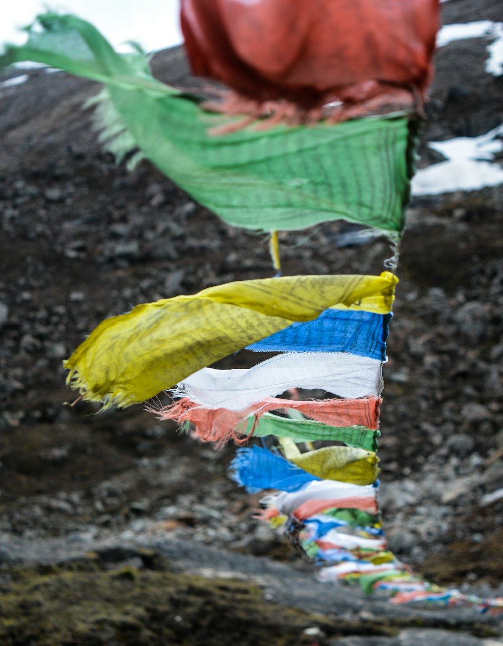 closeup photo of assorted-color buntings