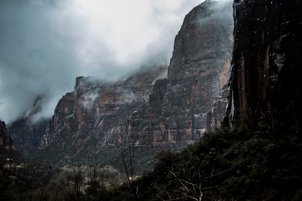 mountain and trees photo at daytime