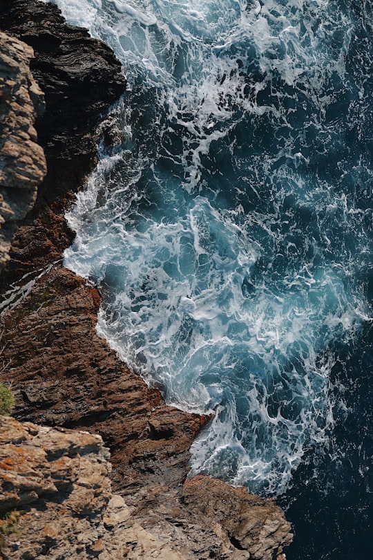 photo of Vernazza Cliff near Paraggi