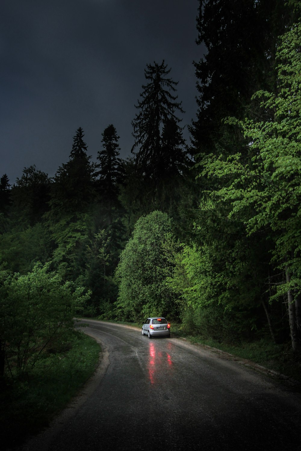 gray car near green leafed tree