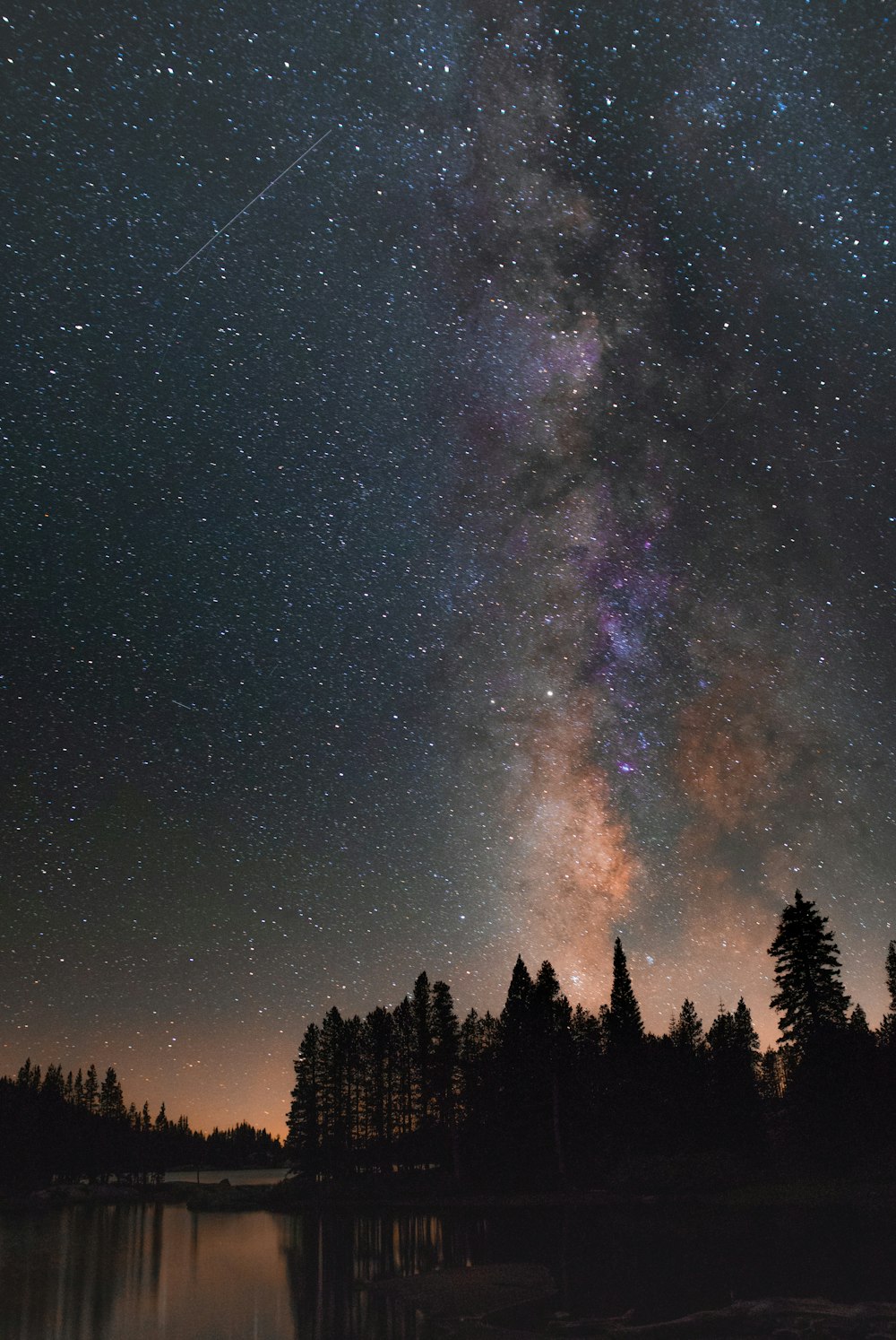 silhouette of trees under starry sky