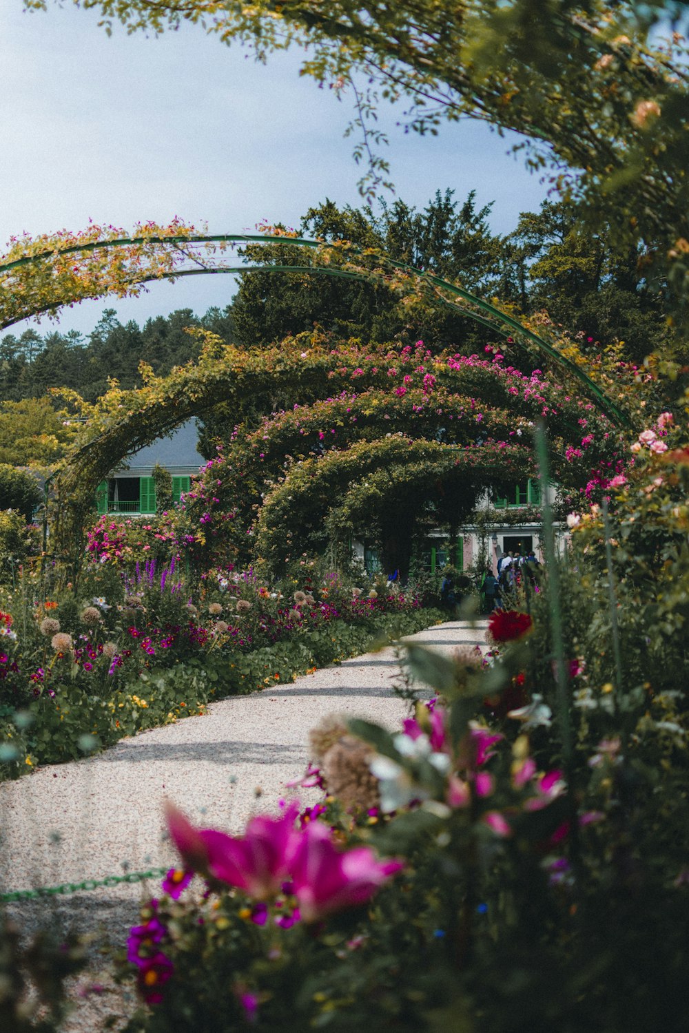 arche de jardin fleuri