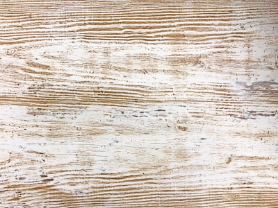 mold on wood floor