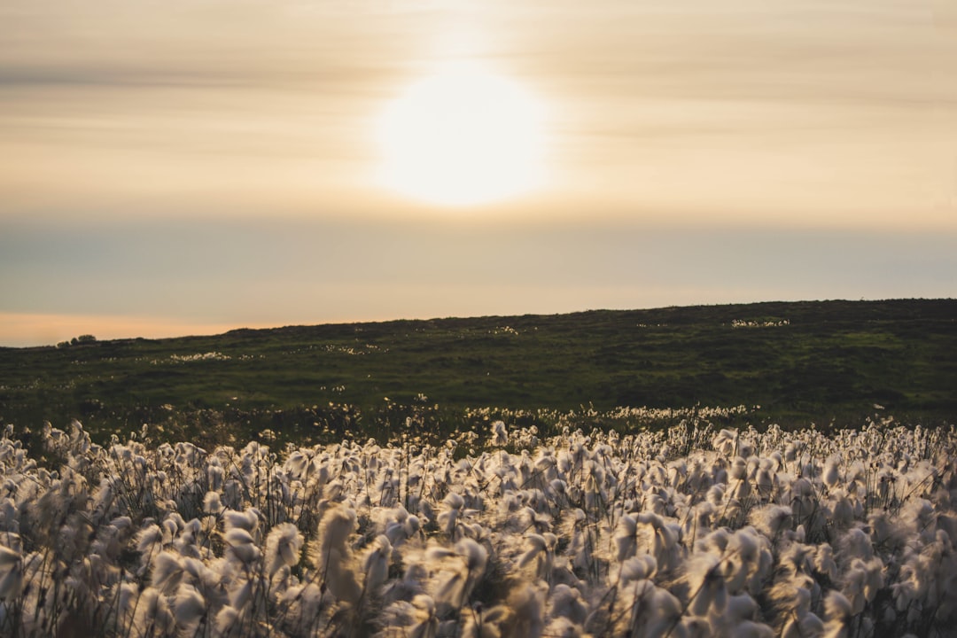 travelers stories about Plain in Cavehill, United Kingdom