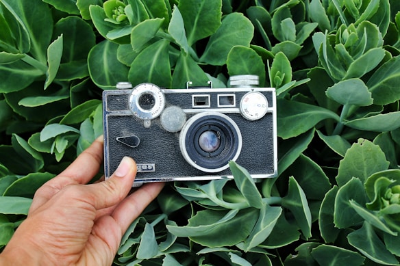 A vintage camera is being held by a hand against a background of lush green leaves. The camera displays intricate details, including dials and lens markings, while the leaves create a natural, vibrant setting.
