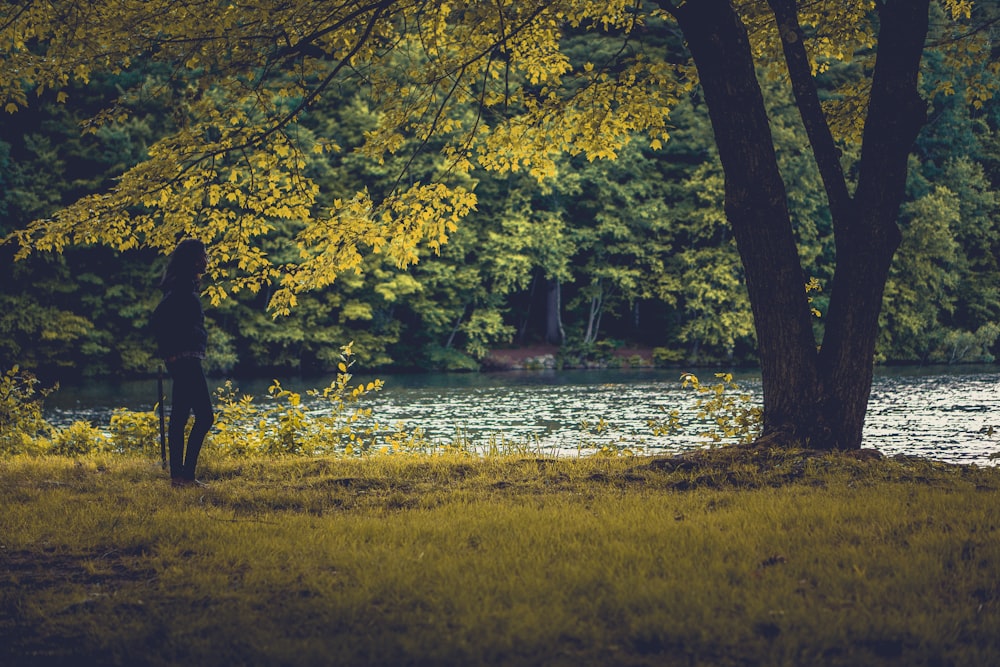 woman standing on green grass near the tree at daytime