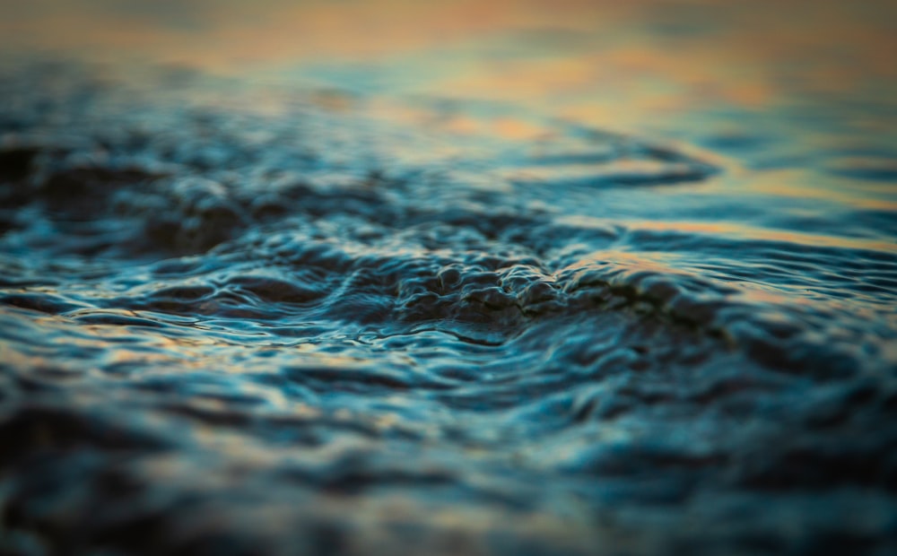 close-up photo of body of water