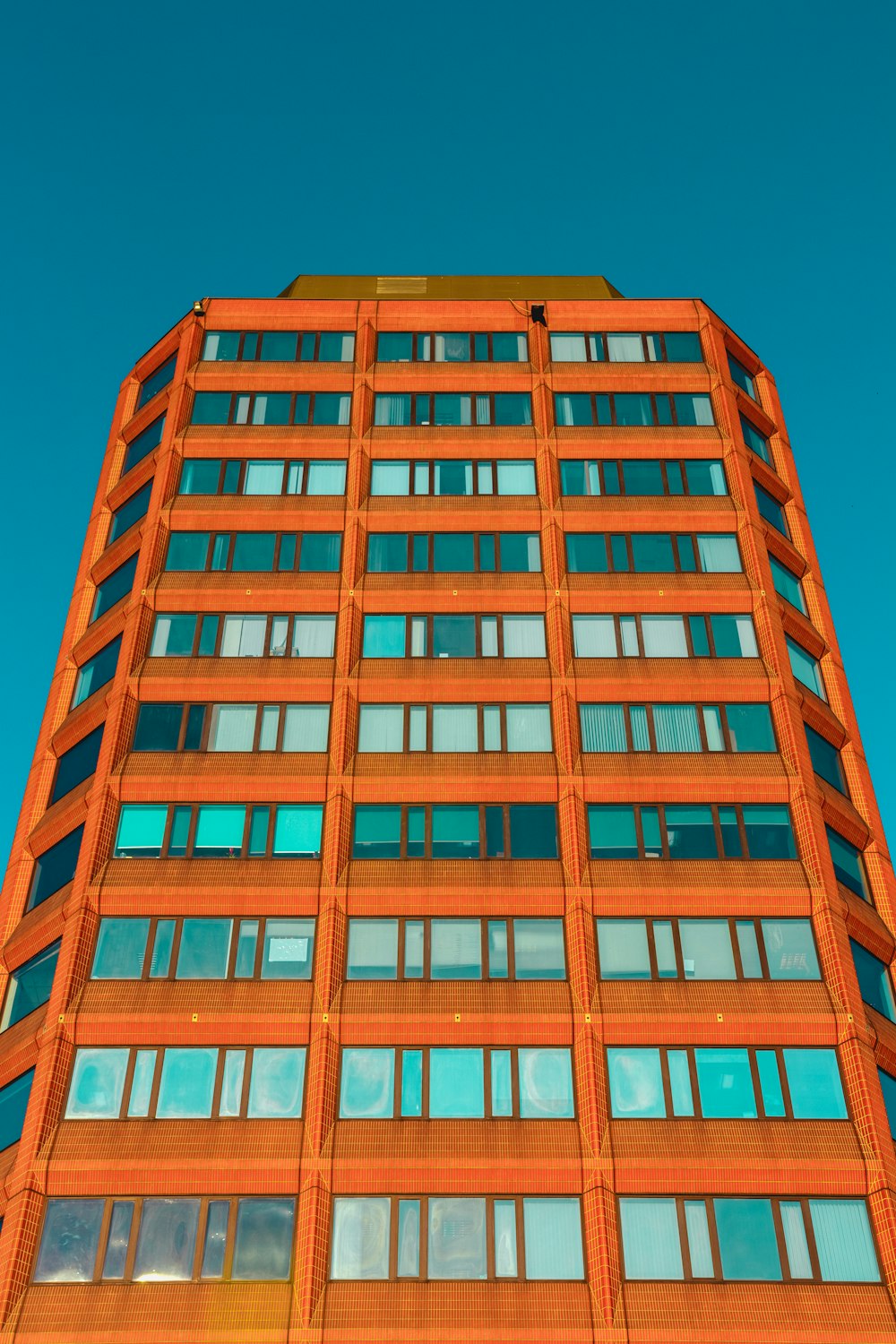 orange and blue building illustration