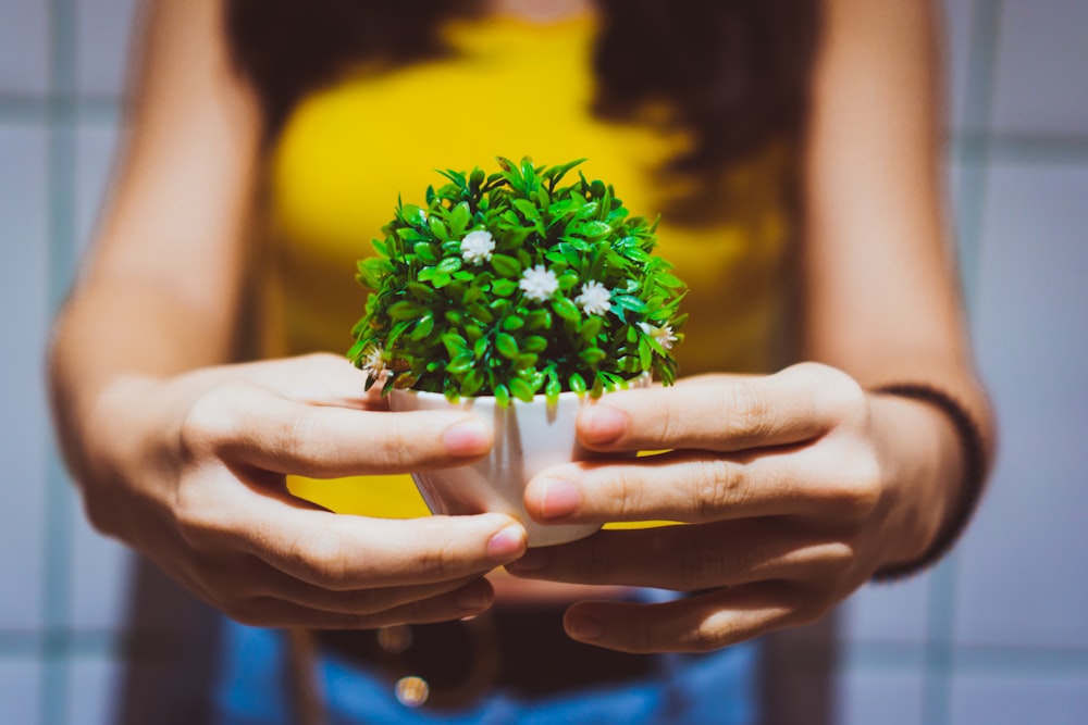 woman holding green plant