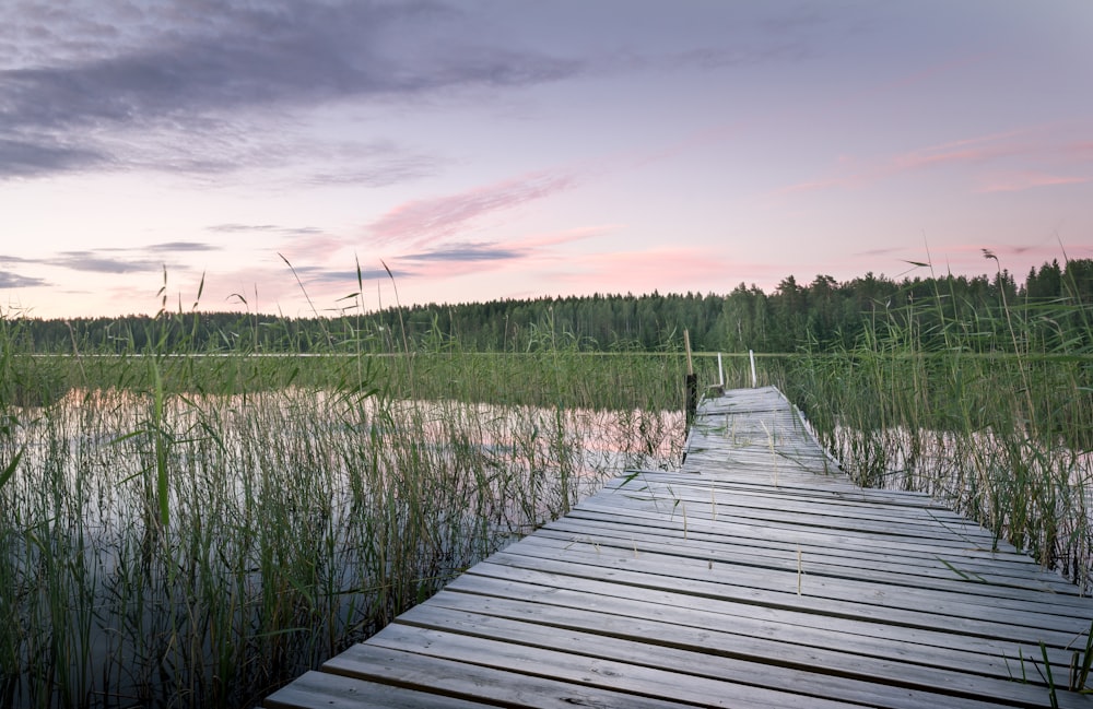 photo of wooden dock