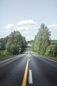 road between trees