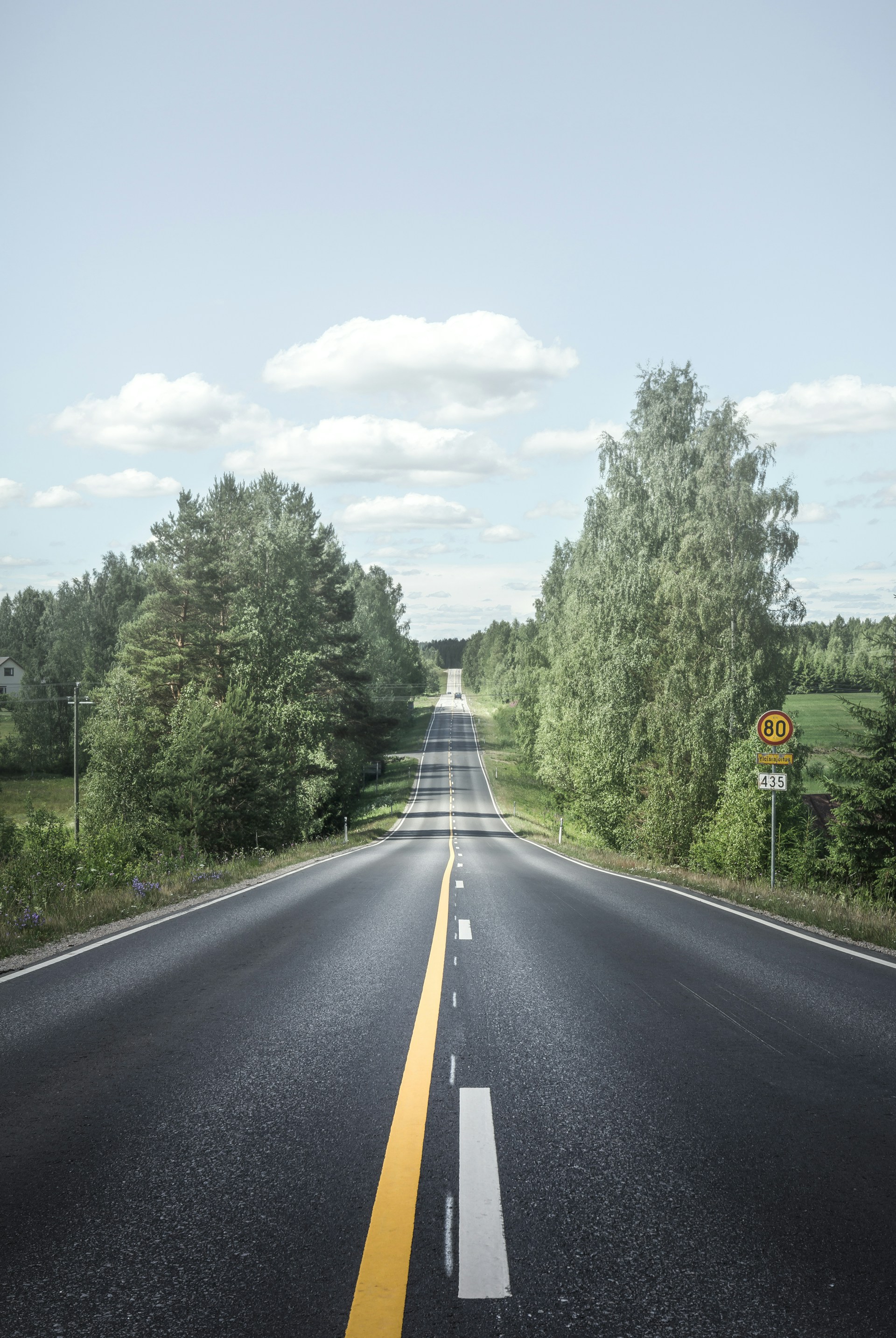 road between trees