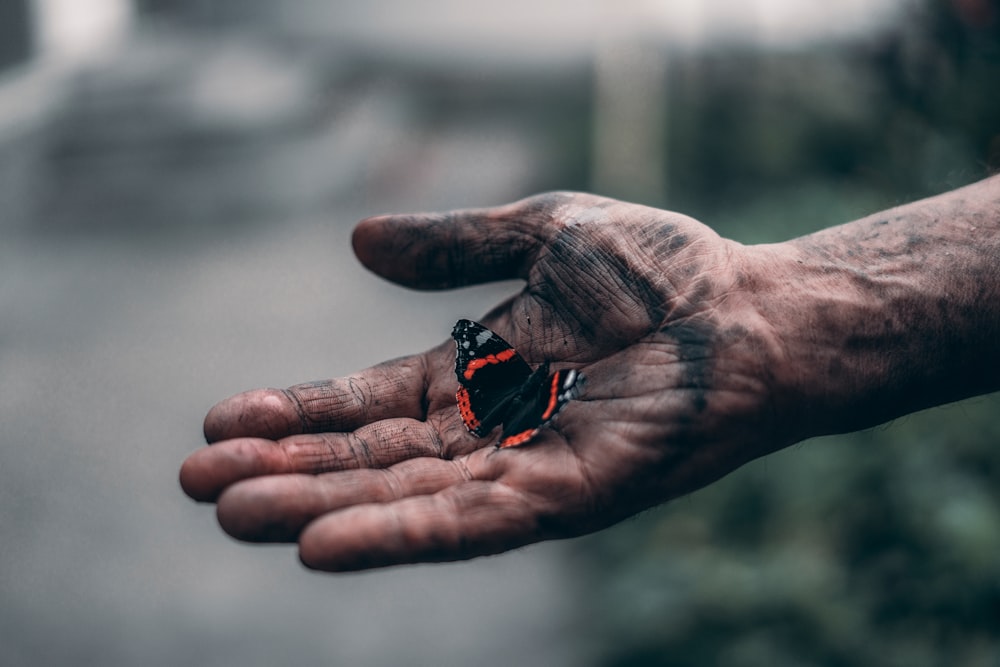 Outstretched dirt covered hand holding a dark patterned butterfly.