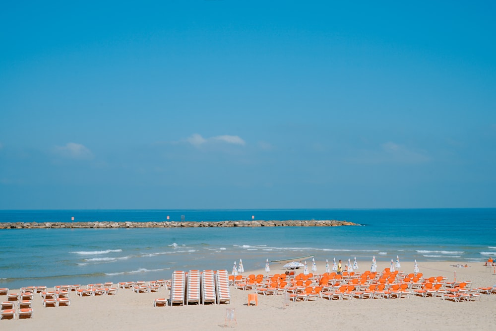 empty beach shore